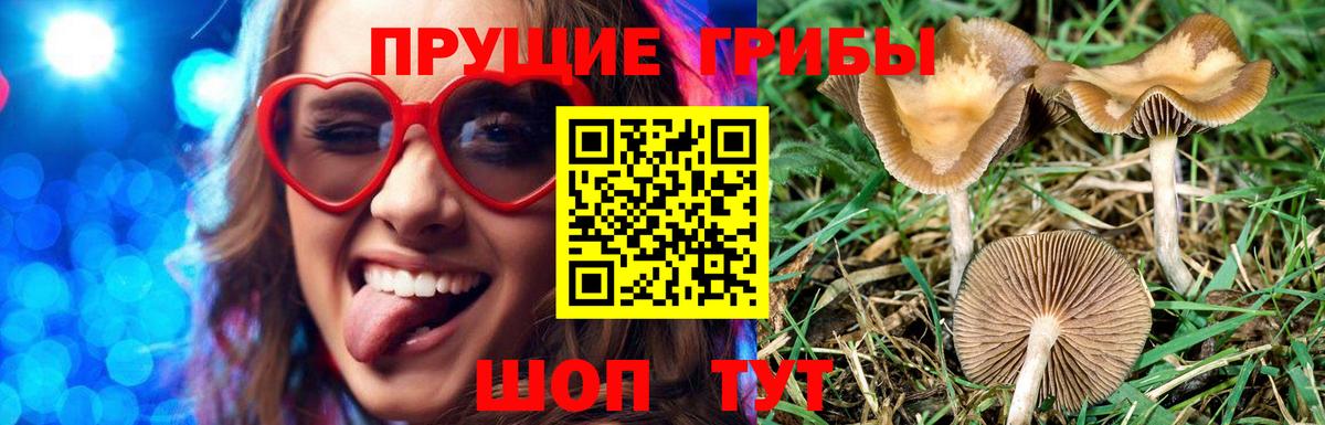 Галлюциногенные грибы ЛСД  Вход с VPN  Зеленокумск  Галлюциногенные грибы ЛСД 